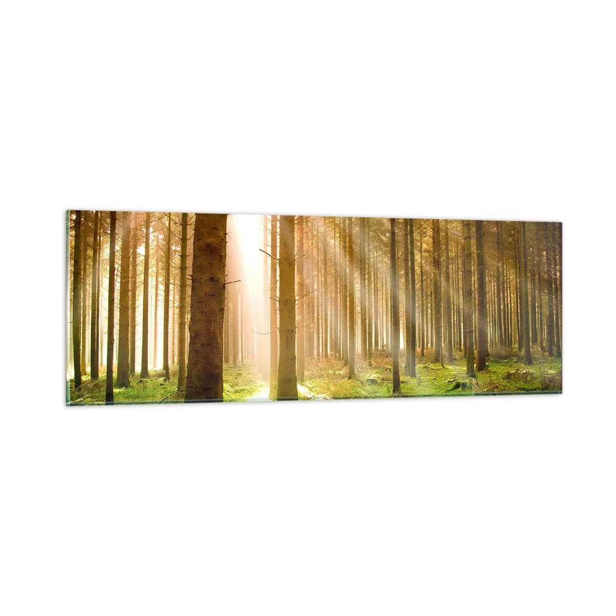 Quadro em vidro - Os elfos estão prestes a aparecer - 90x30 cm