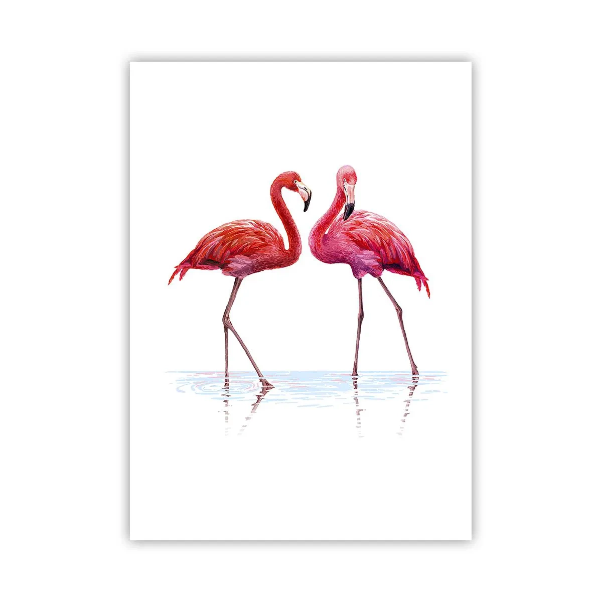Pôster - Rosa randez-vous - 50x70 cm