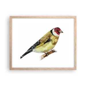 Pôster com moldura de carvalho claro - Retrato de um pássaro - 50x40 cm