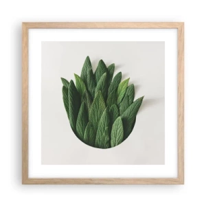 Pôster com moldura de carvalho claro - Curiosidade indomável - 40x40 cm