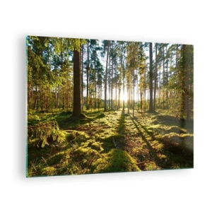 Quadro em vidro - Raios de sol penetrando através das árvores da floresta - 70x50cm - ...Além das sete florestas - Decoração de parede moderna para a sala de estar e quarto ARTTOR