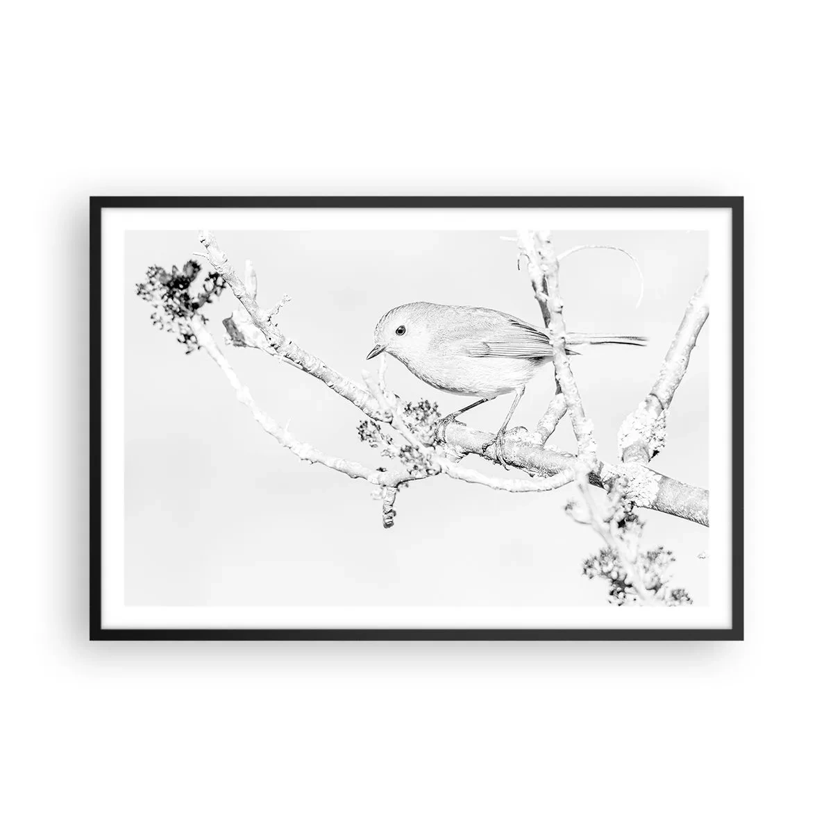 Pôster com moldura preta - Manhã de inverno - 91x61 cm