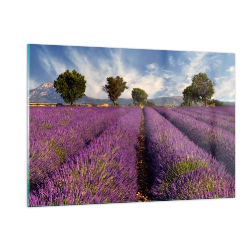 Quadro em vidro - Prados de lavanda - 120x80 cm