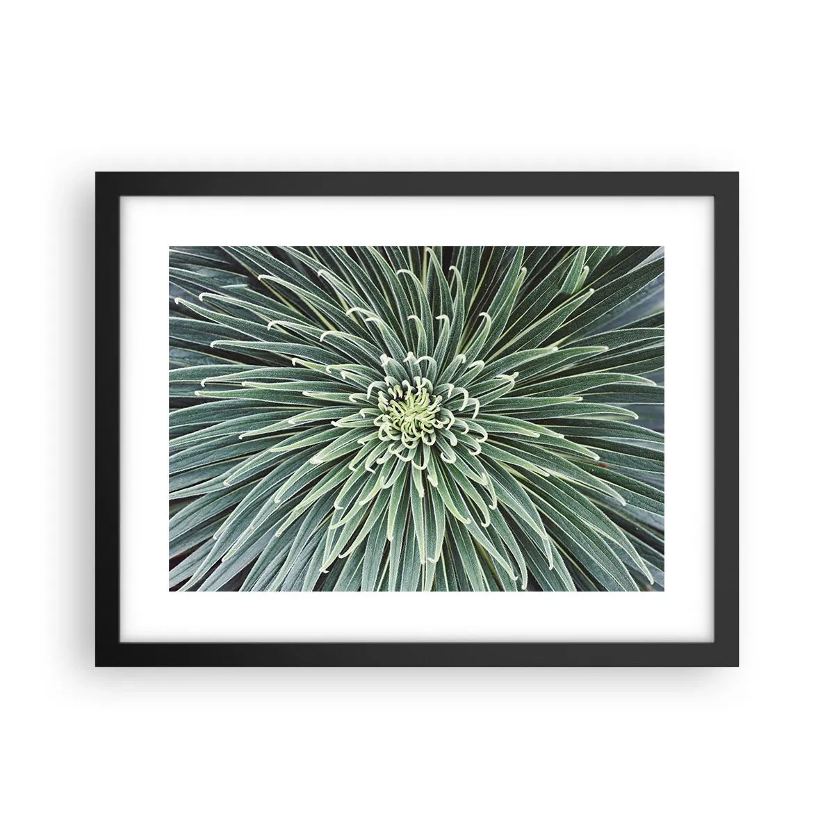 Pôster com moldura preta - Nasce uma estrela - 40x30 cm