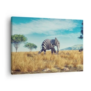 Quadro em tela - Zebra em uma paisagem africana - 70x50cm - Cinza não está mais na moda - Decoração de parede moderna para a sala de estar e quarto ARTTOR