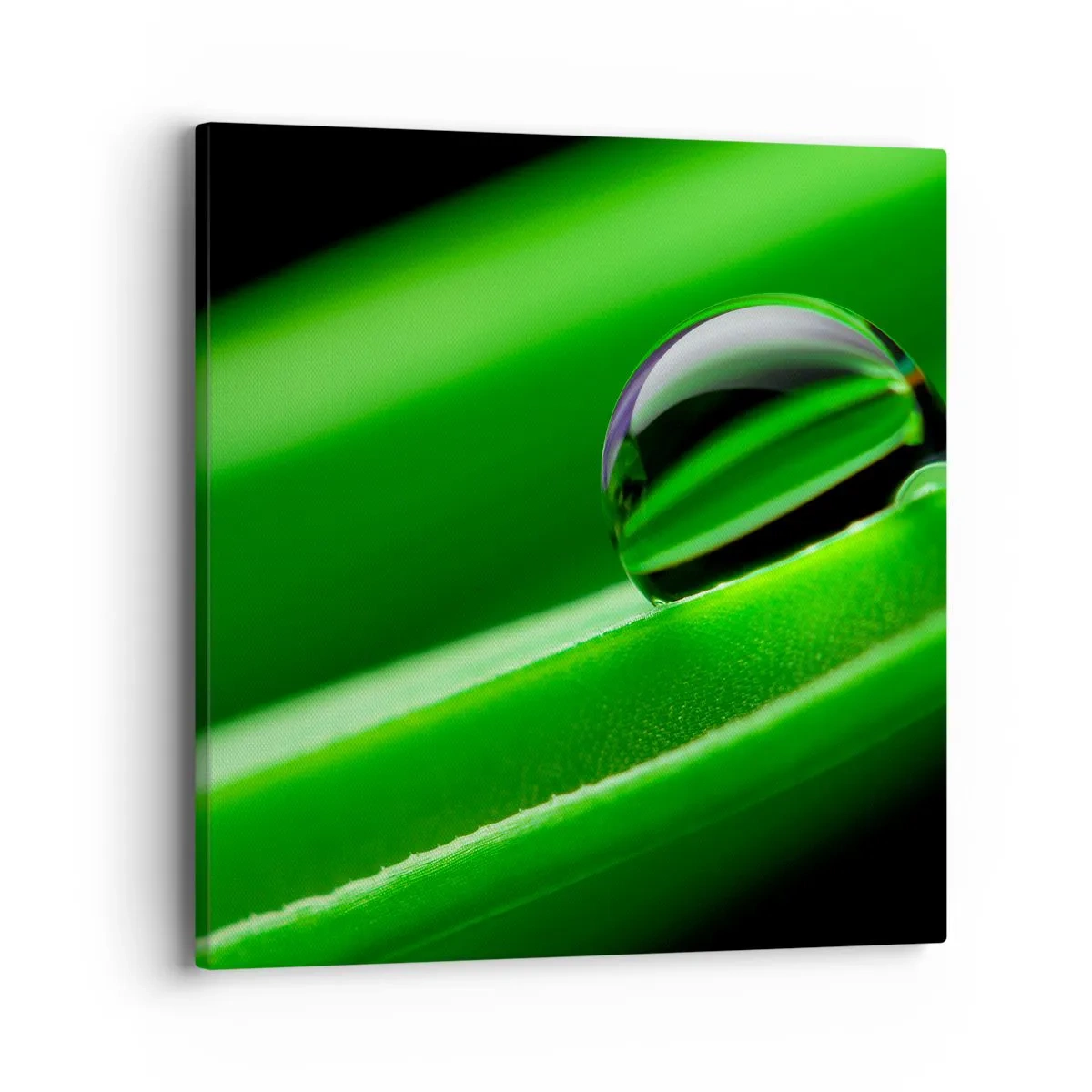 Quadro em tela - A vida de perto - 40x40 cm