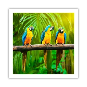 Pôster - E ouviste dizer que ela...? - 60x60 cm