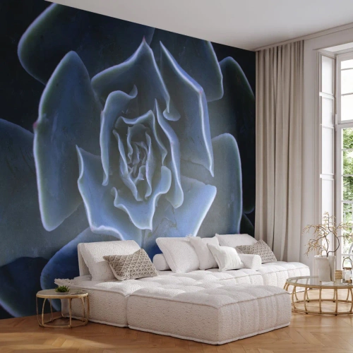 Papel de Parede Autocolante Deluxe Sticker - Flor do deserto - Flor de agave, Flor, Natureza - 300x210 cm