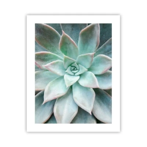 Pôster - O coração do deserto - 40x50 cm