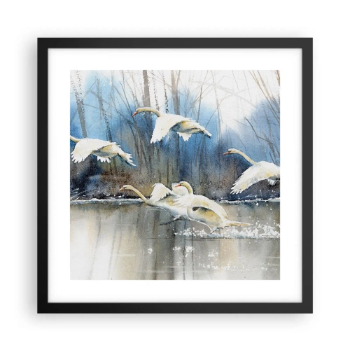 Pôster com moldura preta - Como no conto de fadas sobre cisnes selvagens - 40x40 cm
