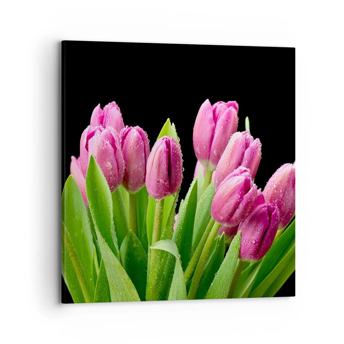 Quadro em tela - Alegria lilás da primavera - 70x70 cm