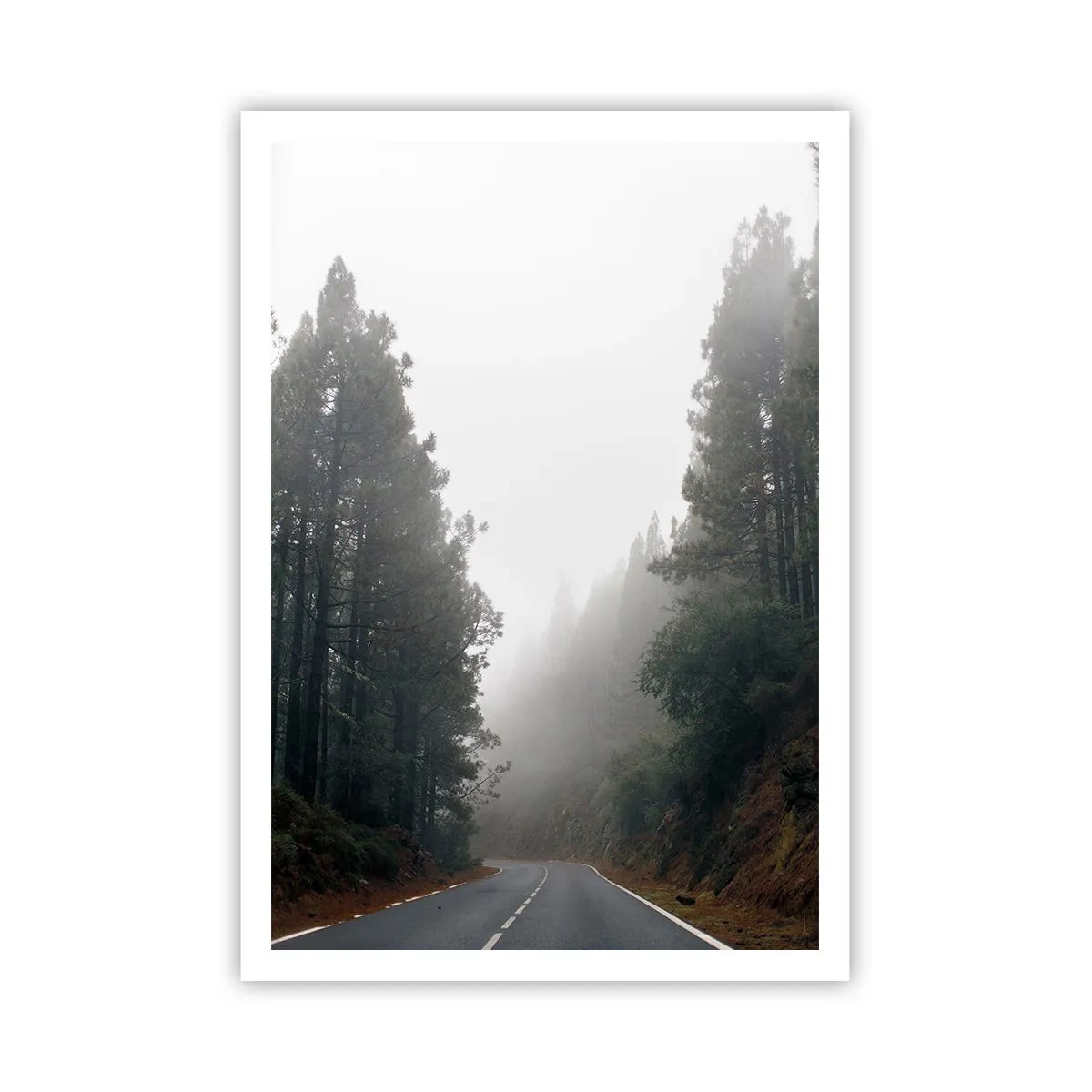 Pôster - O conto da floresta mágica - 70x100 cm