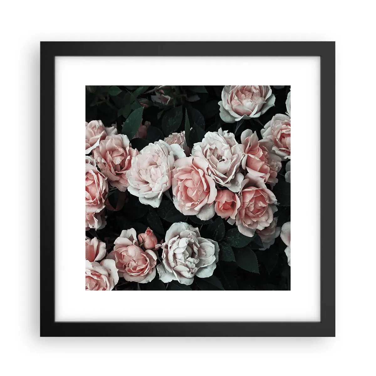 Pôster com moldura preta - Conjuntos de rosas - 30x30 cm