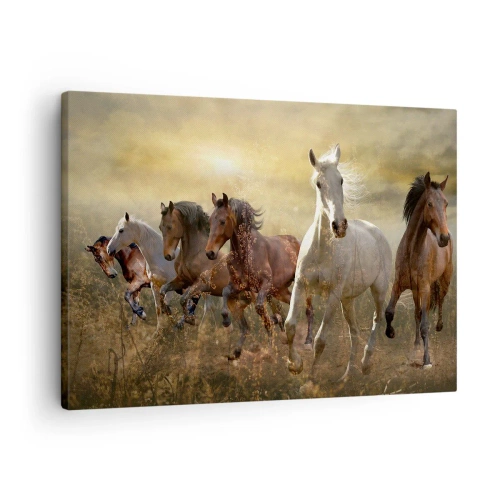 Quadro em tela - Um grupo de cavalos galopando contra o pôr do sol - 70x50cm - Viva a liberdade! - Decoração de parede moderna para a sala de estar e quarto ARTTOR