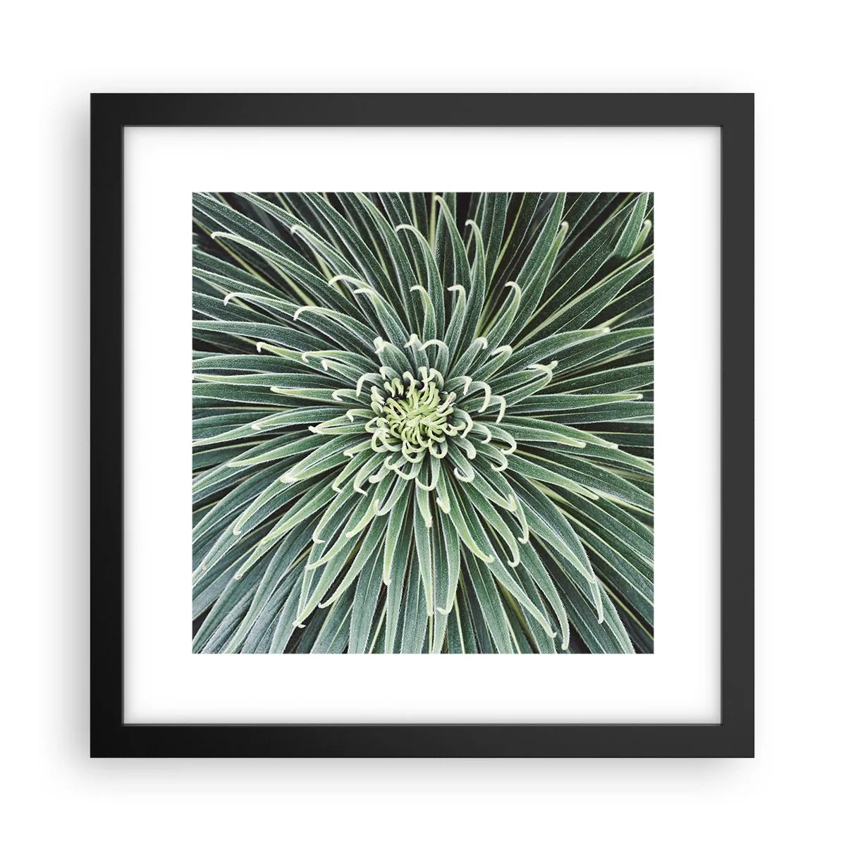 Pôster com moldura preta - Nasce uma estrela - 30x30 cm