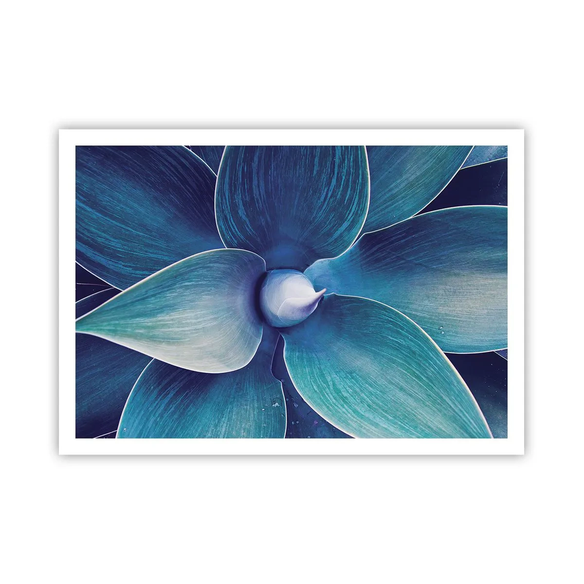 Pôster - O azul do céu - 100x70 cm
