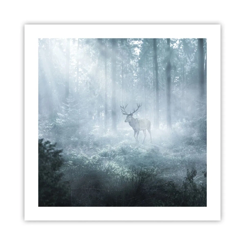 Pôster - Passeio matinal à volta da propriedade - 50x50 cm