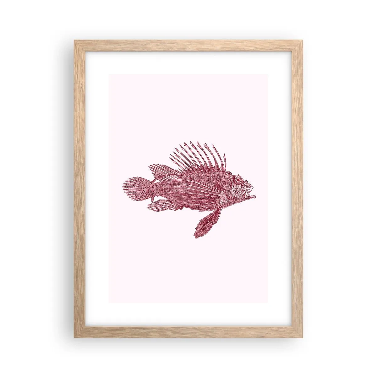 Pôster com moldura de carvalho claro - Um habitante de águas exóticas - 30x40 cm