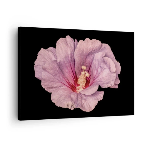 Quadro em tela - Flor rosa em fundo preto - 70x50cm - Direto para o coração - Decoração de parede moderna para a sala de estar e quarto ARTTOR