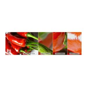 Amostra de papel de parede Premium Canvas - Suculento, brilhante, liso - Gastronomia, Pimenta, Vegetais - 100x30 cm
