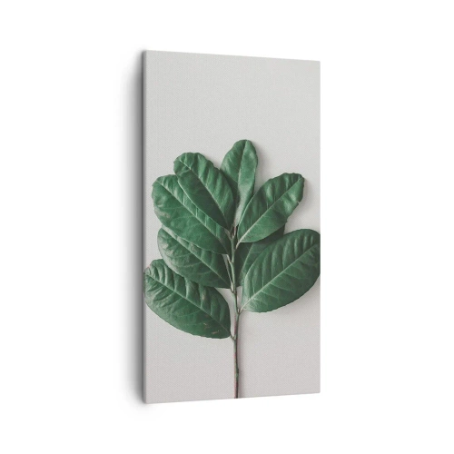 Quadro em tela - Desenho da própria natureza - 45x80 cm