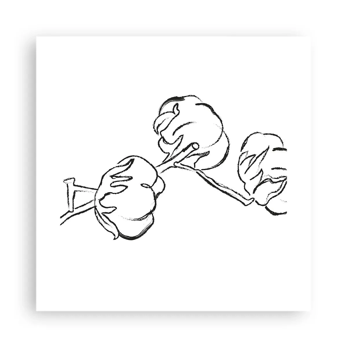 Pôster - Algodão para baixo - 40x40 cm