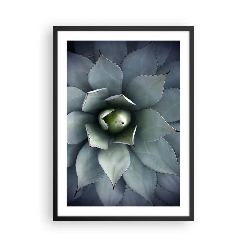 Pôster com moldura preta - Um close das folhas simétricas de uma suculenta em tons de verde. - 50x70cm - Atrai e adverte - Decoração de parede moderna para a sala de estar e quarto ARTTOR