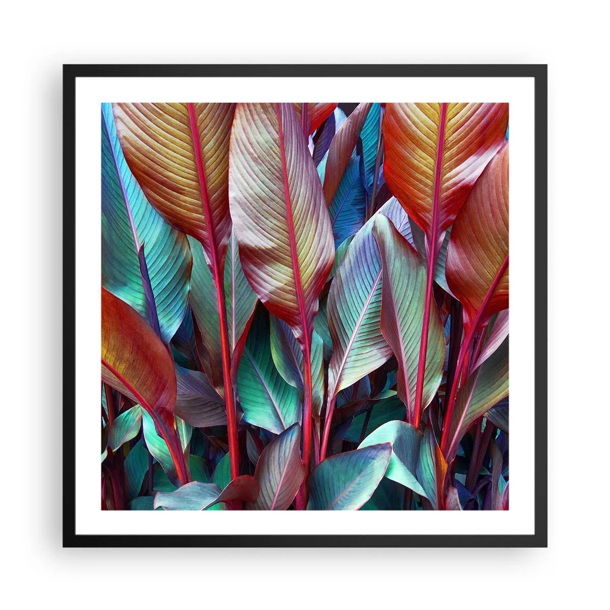 Pôster com moldura preta - Um matagal colorido - 60x60 cm