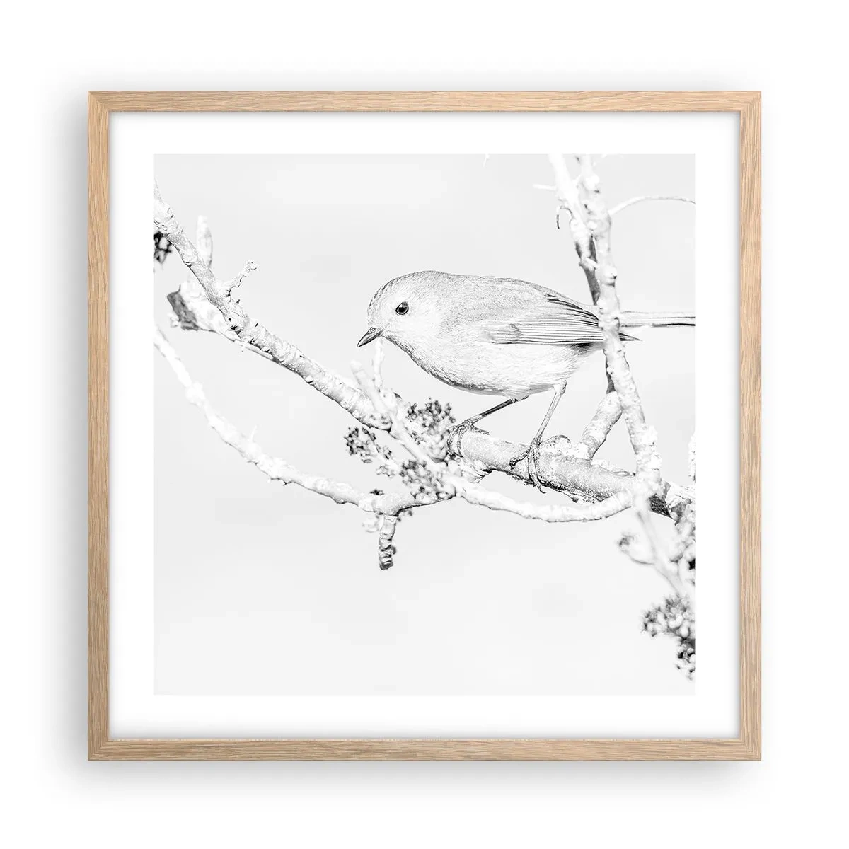 Pôster com moldura de carvalho claro - Manhã de inverno - 50x50 cm