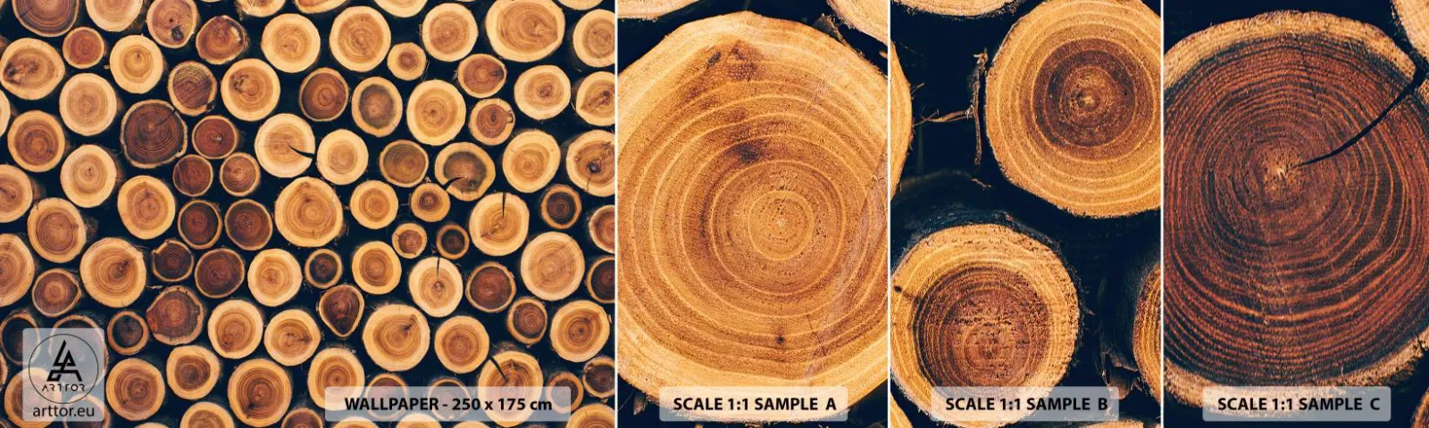 Amostra de Papel de Parede Standard Eco - Que idade pareço ter? - Tronco de árvore, Floresta, Pedaço - 100x30 cm