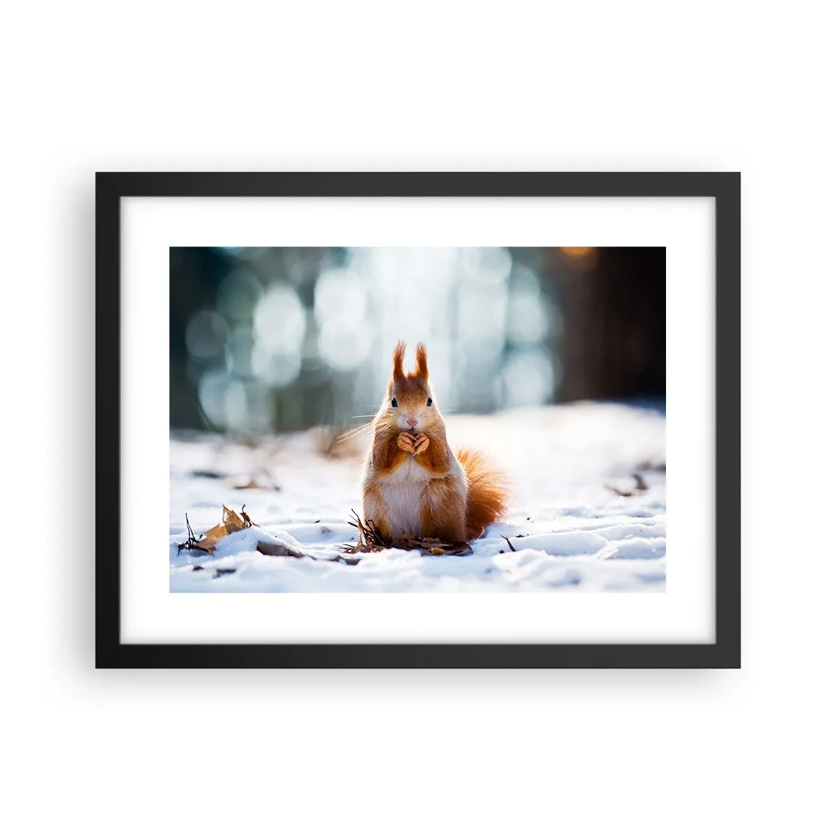 Pôster com moldura preta - Para o que estás a olhar? - 40x30 cm