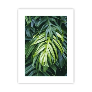 Pôster - Mergulhar no frescor - 30x40 cm