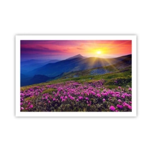 Pôster - …Cheiro de pinheiros e ervas da montanha - 91x61 cm