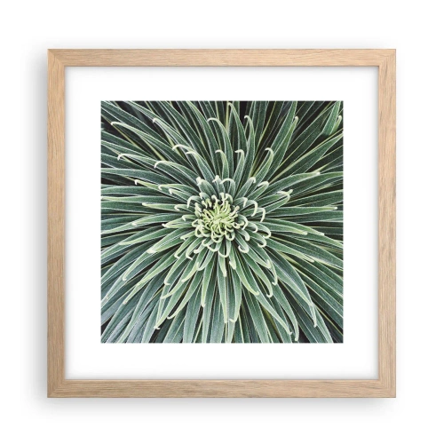 Pôster com moldura de carvalho claro - Nasce uma estrela - 30x30 cm