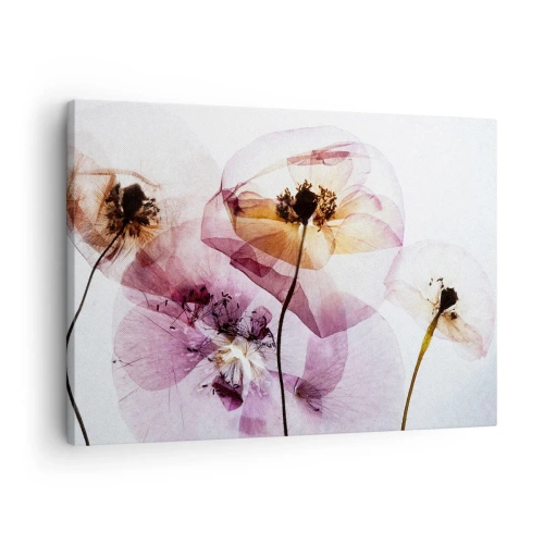 Quadro em tela - Flores delicadas e transparentes em tons pastel - 70x50cm - A transparência das flores - Decoração de parede moderna para a sala de estar e quarto ARTTOR