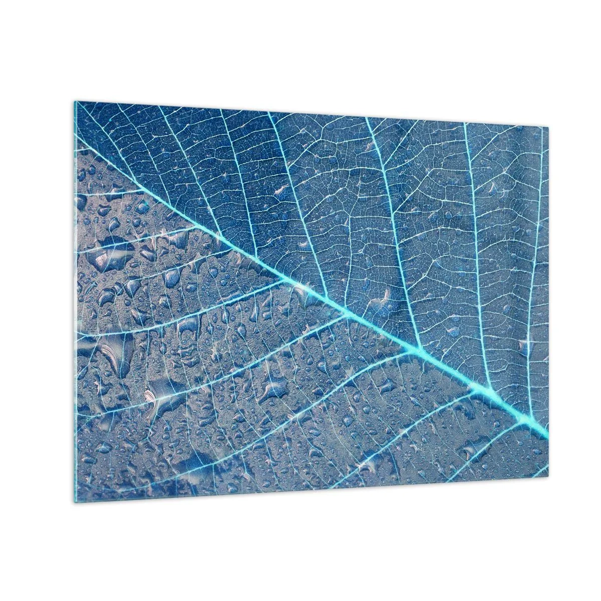 Quadro em vidro - Fotografia macro de uma folha com gotas de água em tons de azul - 70x50cm - A vida em azul - Decoração de parede moderna para a sala de estar e quarto ARTTOR