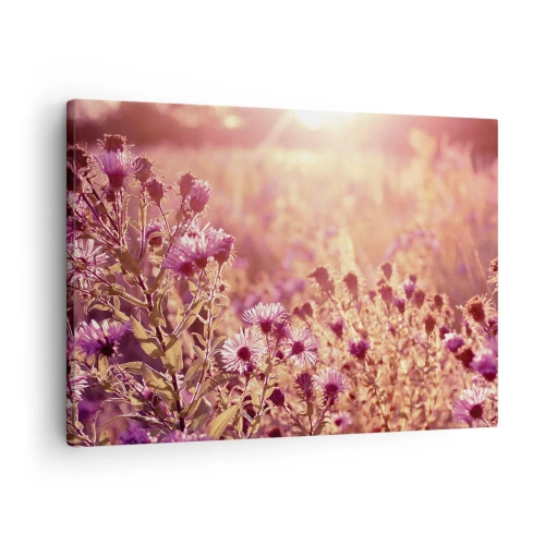 Quadro em tela - Prado à luz do pôr do sol - 70x50cm - Antes do verão acabar - Decoração de parede moderna para a sala de estar e quarto ARTTOR