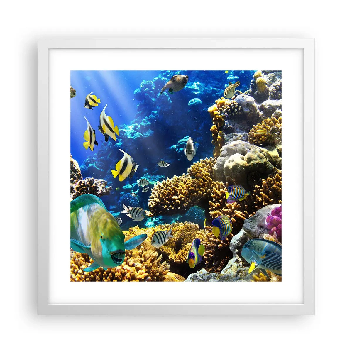 Pôster em moldura branca - Tráfego intenso no percurso de férias - 40x40 cm