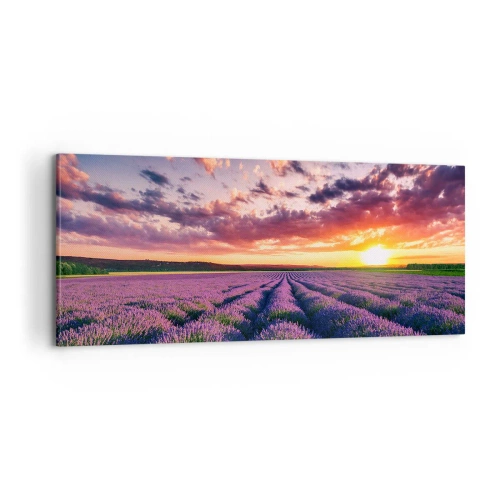 Quadro em tela - O mundo da lavanda - 100x40 cm