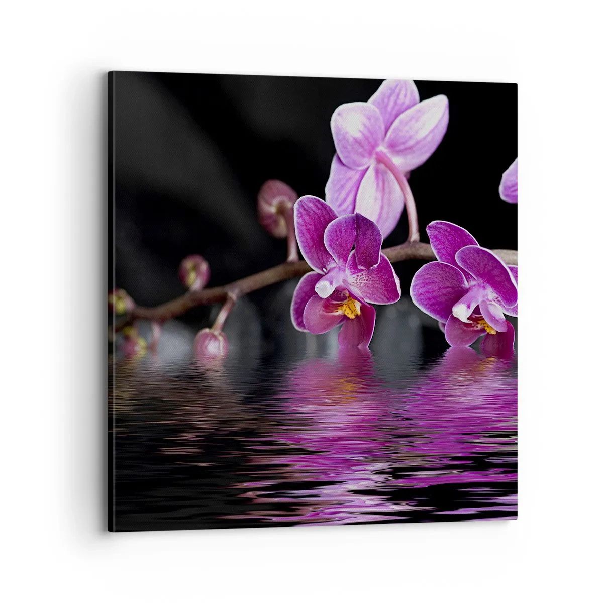 Quadro em tela - Reflexo lilás da beleza - 70x70 cm