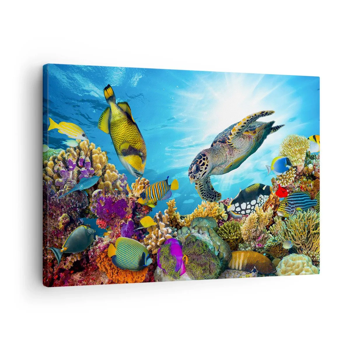 Quadro em tela - Mundo subaquático com peixes coloridos e uma tartaruga no coral - 70x50cm - Alameda dos corais - Decoração de parede moderna para a sala de estar e quarto ARTTOR