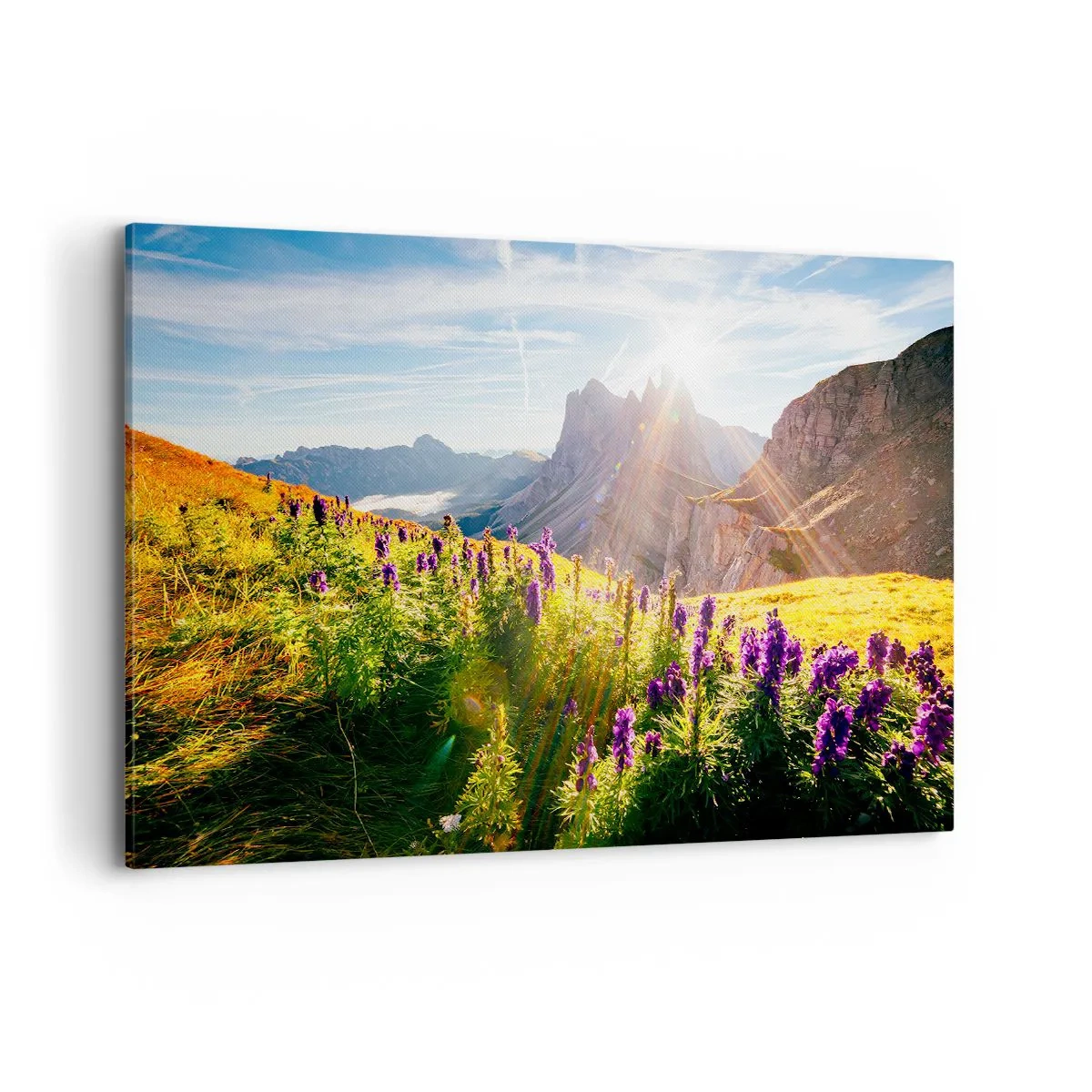 Quadro em tela - A vida secreta das ervas - 120x80 cm