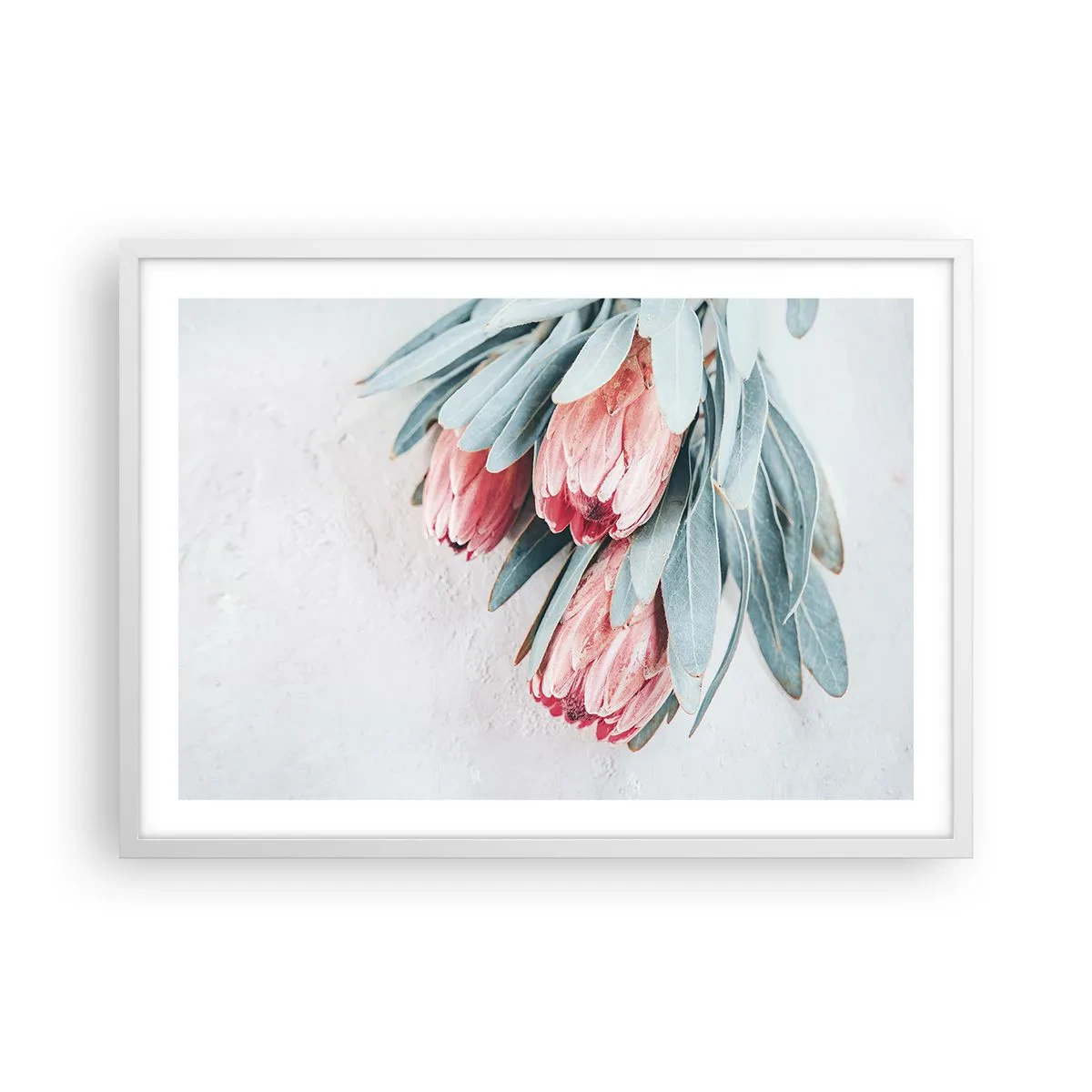 Pôster em moldura branca - Envergonhadas da sua própria beleza - 70x50 cm