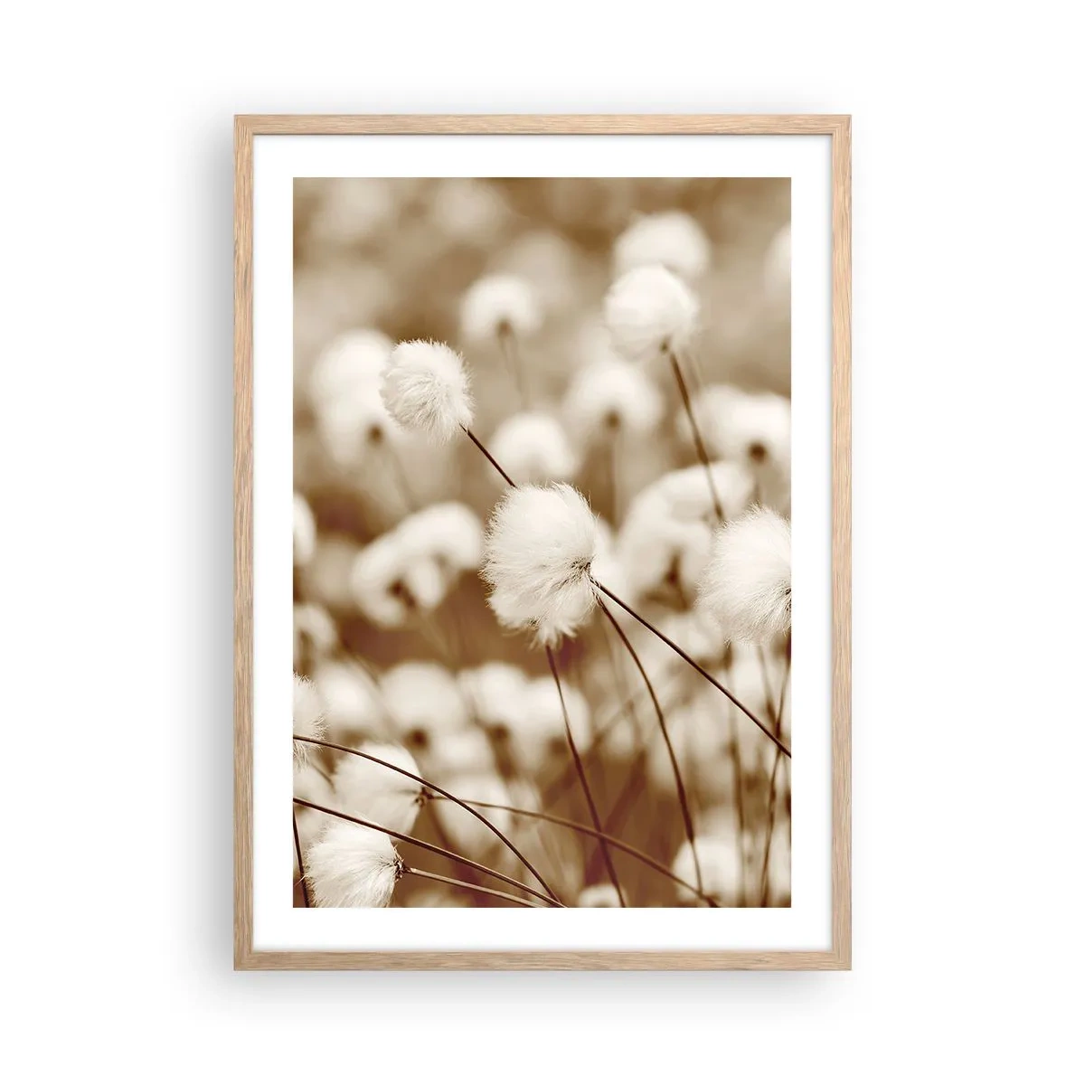 Pôster com moldura de carvalho claro - Campos felpudos - 50x70 cm