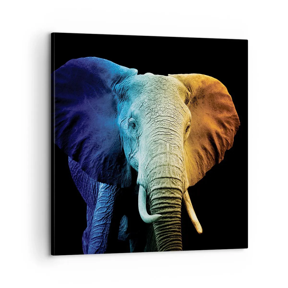 Quadro em tela - Excêntrico, não esquisito - 60x60 cm