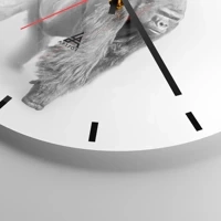 Mostrador com traços