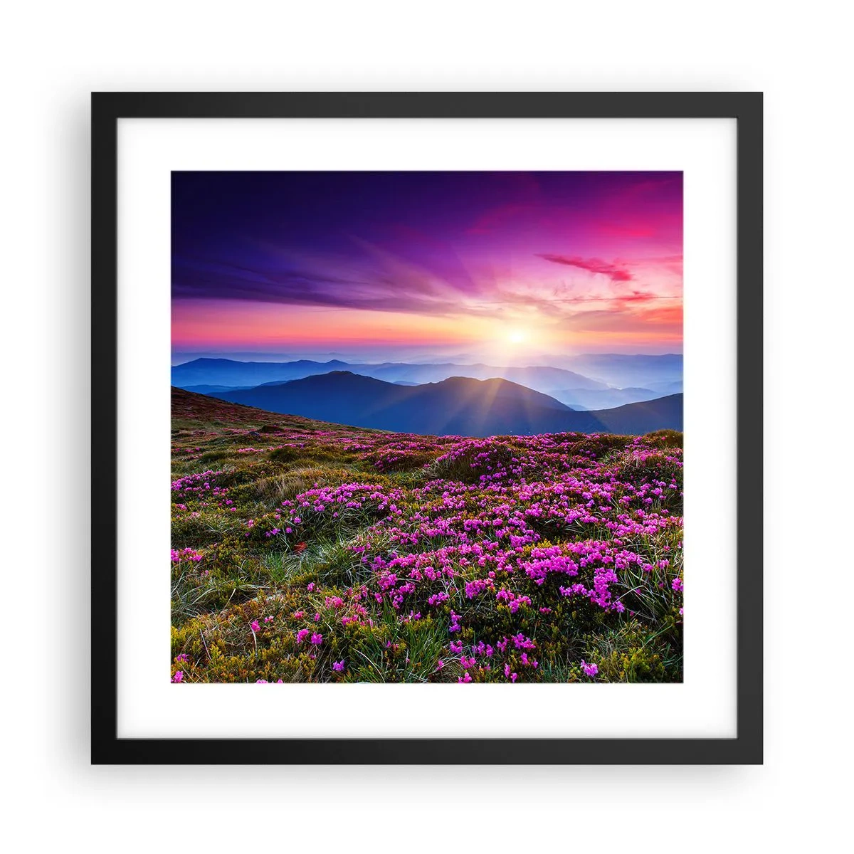 Pôster com moldura preta - Campo cheiroso - 40x40 cm