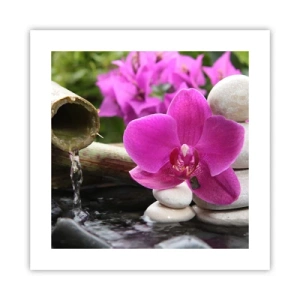 Pôster - Descanso imediato - 40x40 cm