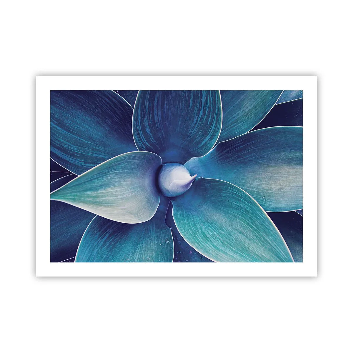 Pôster - O azul do céu - 70x50 cm
