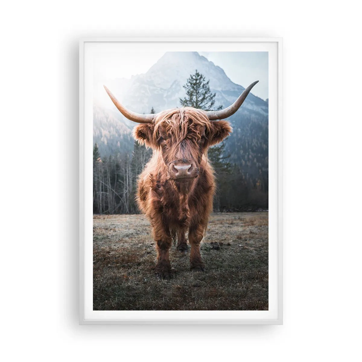 Pôster em moldura branca - Saudações do prado da montanha - 70x100 cm